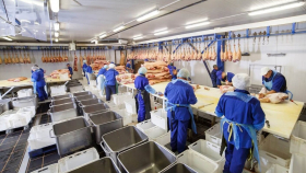 В ряде развитых стран снизится производство свинины – Rabobank